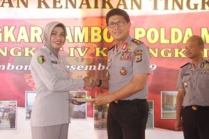 Rumkit naik