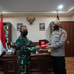 kapol dan